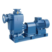 Самовсасывающий насос для загрязненной воды PURITY PZWM 80-65-25/2, 400/690В/50Гц