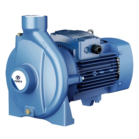 Моноблочный насос PURITY PC 6B m